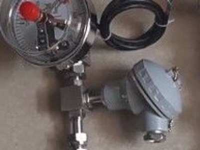   WSSXP-485 帶電阻遠(yuǎn)