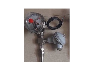 WSS-511徑向型雙金屬溫度計(jì)